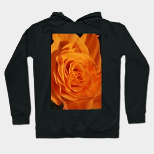 Orange Rose Closeup Hoodie